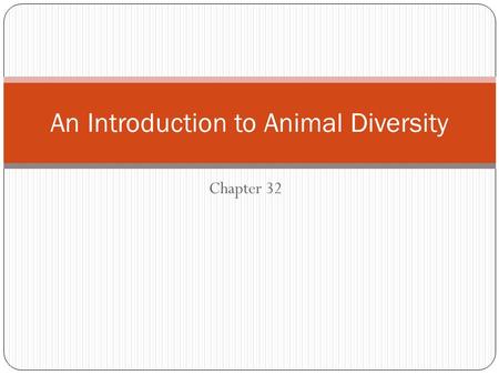 Chapter 32 An Introduction to Animal Diversity. Characteristics of Animals Animals are: Multicellular Heterotrophs Eukaryotic Have tissues and differentiated.