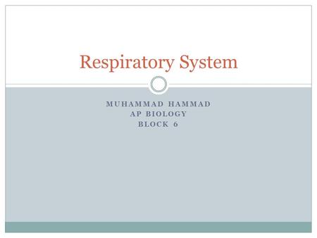 MUHAMMAD HAMMAD AP BIOLOGY BLOCK 6 Respiratory System.