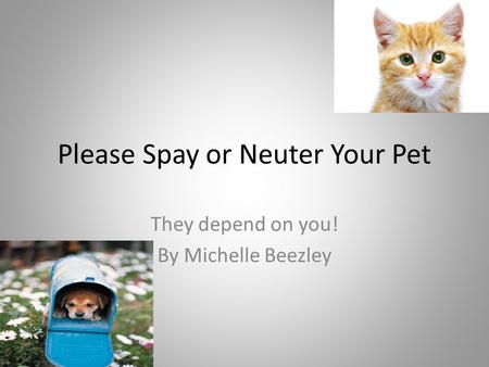 Please Spay or Neuter Your Pet They depend on you! By Michelle Beezley.