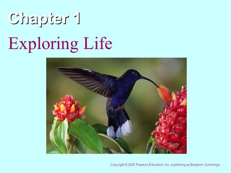 Chapter 1 Exploring Life Copyright © 2005 Pearson Education, Inc. publishing as Benjamin Cummings.