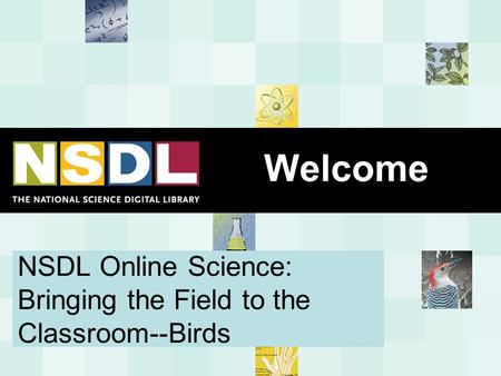 NSDL Online Science: Bringing the Field to the Classroom--Birds Welcome.