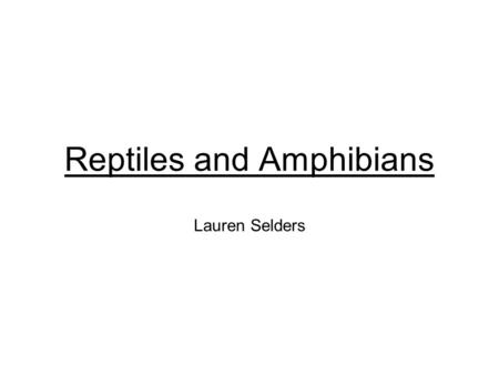 Reptiles and Amphibians Lauren Selders. American Toad They eat a wide variety of insects and other invertebrates, including snails, beetles, slugs, and.