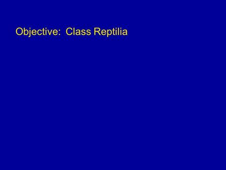 Objective: Class Reptilia