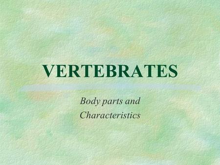VERTEBRATES Body parts and Characteristics. §A vertebrate is any creature that has a spinal column. A spinal column is the large bone structure that runs.