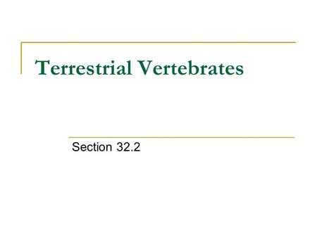 Terrestrial Vertebrates Section 32.2. Early Reptiles Important adaptations to terrestrial life that amphibians do not have: 1. Water tight skin 2. Water.