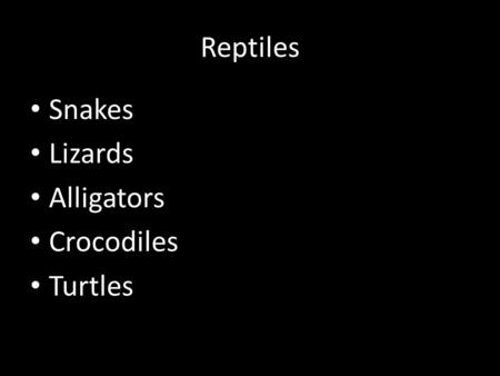 Reptiles Snakes Lizards Alligators Crocodiles Turtles.
