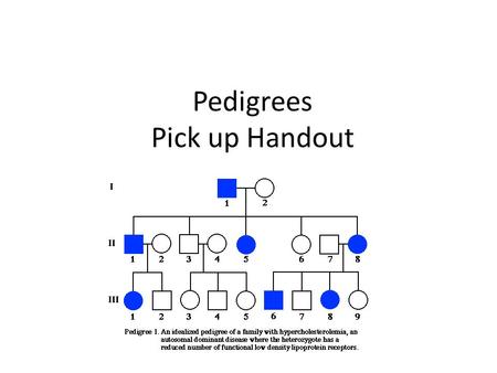 Pedigrees Pick up Handout. Pedigrees = “Family Trees” Standard Symbols.