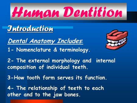 Human Dentition Introduction Dental Anatomy Includes: