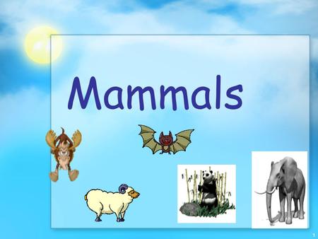 1 Mammals. 2 Evolution and Characteristics Mammals belong to the class Mammalia, which includes 4000 species Most dominant land animals on earth. Mammals.