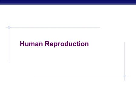 AP Biology 2005-2006 Human Reproduction. AP Biology 2005-2006 Reproductive hormones  Testosterone  from testes  functions  sperm production  2° sexual.