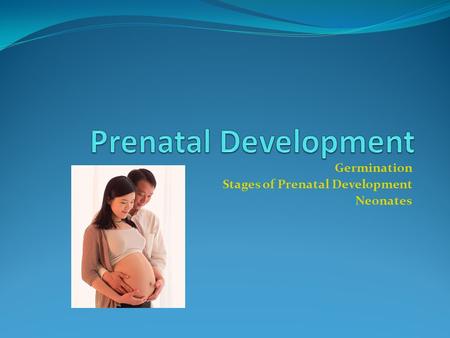 Germination Stages of Prenatal Development  Neonates.