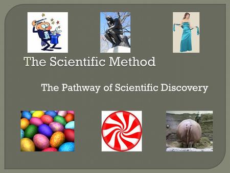 The Scientific Method The Pathway of Scientific Discovery.