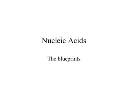 Nucleic Acids The blueprints. Types of Molecules Polymers of nucleotides DNA: code for genetic information RNA –mRNA intermediates in protein synthesis.