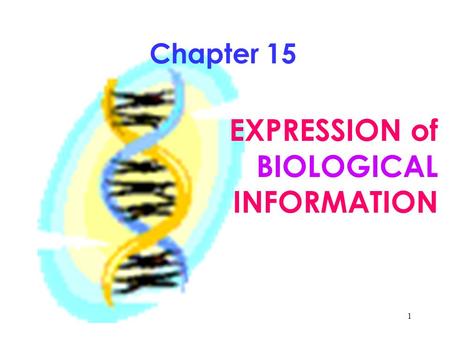 1 Chapter 15 EXPRESSION of BIOLOGICAL INFORMATION.
