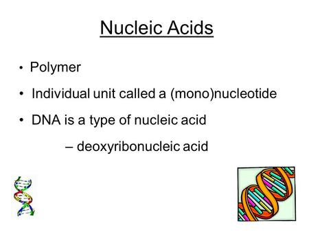 Nucleic Acids Polymer Individual unit called a (mono)nucleotide DNA is a type of nucleic acid – deoxyribonucleic acid.