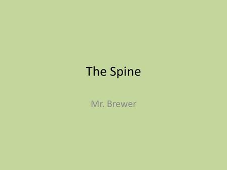 The Spine Mr. Brewer.
