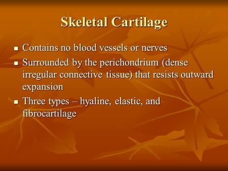 Skeletal Cartilage Contains no blood vessels or nerves Contains no blood vessels or nerves Surrounded by the perichondrium (dense irregular connective.