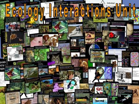 Areas of Focus within The Ecology Interactions Unit: Levels of Biological Organization (Ecology), Parts of the Biosphere, Habitat, Ecological Niche, Types.