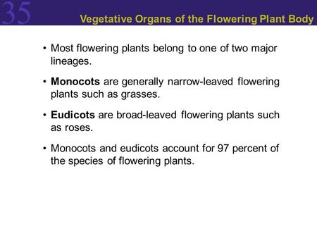 Vegetative Organs of the Flowering Plant Body