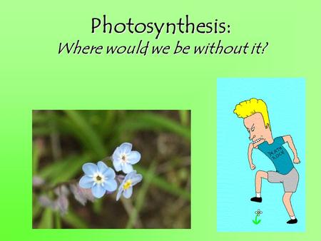 Photosynthesis: Where would we be without it? Where’d we leave off? In cellular respiration, cells use the energy stored in _______ (and other biomolecules)