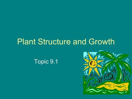 Plant Structure and Growth Topic 9.1. To review Study the chart on pg 239 for your different types of plants The seeded vascular plants include the angiosperms.