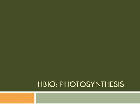 HBio: Photosynthesis.