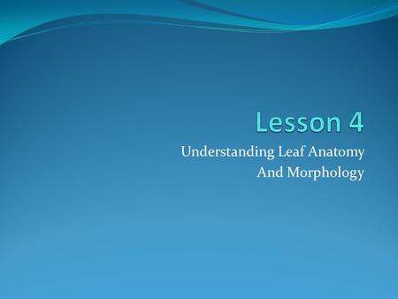 Understanding Leaf Anatomy And Morphology