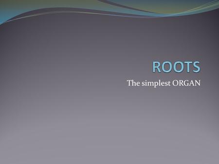 The simplest ORGAN. ORGANS ORGANS - have one or more FUNCTIONS and composed of SEVERAL TISSUES ROOTS are the simplest.