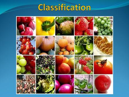 Why do we classify things? Finding Order in Diversity Classification provides scientists and students a way to sort and group organisms for easier study.