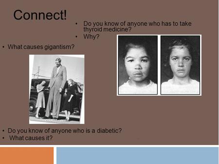 Connect! Do you know of anyone who has to take thyroid medicine? Why? What causes gigantism? Do you know of anyone who is a diabetic? What causes it?