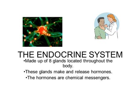 THE ENDOCRINE SYSTEM Made up of 8 glands located throughout the body. These glands make and release hormones. The hormones are chemical messengers.