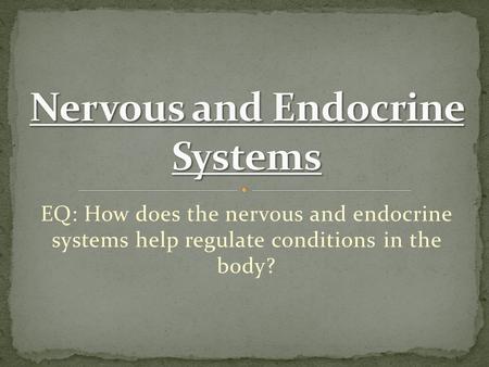 EQ: How does the nervous and endocrine systems help regulate conditions in the body?
