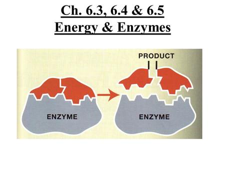 Ch. 6.3, 6.4 & 6.5 Energy & Enzymes. _______________________ required to start the reaction energy level of reactants energy content of molecules energy.