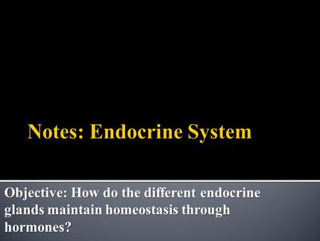 Objective: How do the different endocrine glands maintain homeostasis through hormones?