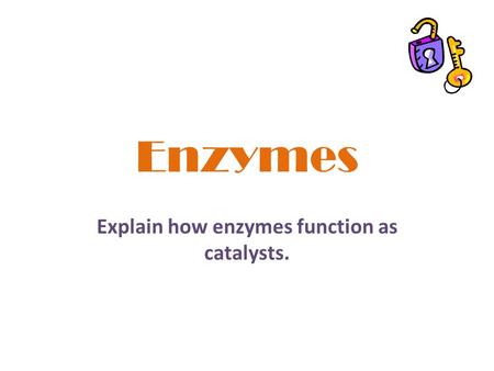 Explain how enzymes function as catalysts.