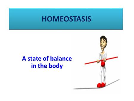 HOMEOSTASIS A state of balance in the body. Homeostasis is the maintenance of a steady state in the body despite changes in the external environment The.