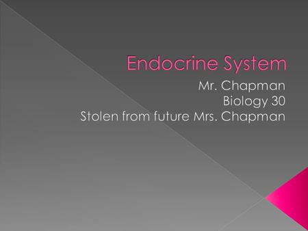  The endocrine system helps the body grow, develop and maintain homeostasis.  The endocrine system makes chemicals called hormones that act to maintain.