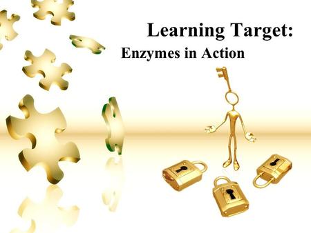 Learning Target: Enzymes in Action. Learning Target #1: Enzymes I Can… Describe the general role of enzymes in metabolic cell processes. I Will… Describe.