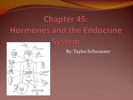 Chapter 45: Hormones and the Endocrine System