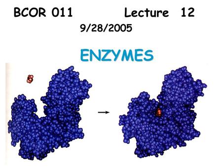 BCOR 011 Lecture 12 9/28/2005ENZYMES. Last time… -  G reaction “can” go spontaneous But when will it go? And at what rate?