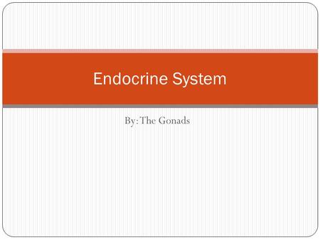 By: The Gonads Endocrine System The Endocrine System The Endocrine System is made up of glands that are located throughout the body. A hormone is a specific.