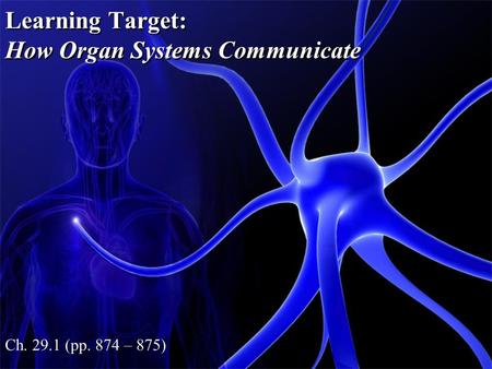 Learning Target: How Organ Systems Communicate Ch. 29.1 (pp. 874 – 875)