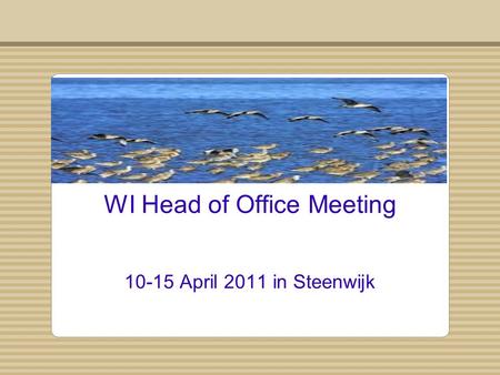 WI Head of Office Meeting 10-15 April 2011 in Steenwijk.