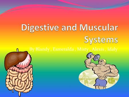 By Blandy, Esmeralda, Misty, Alexis, Idaly Digestive system The digestive tract (also known as the alimentary canal) is the system of organs within multicellular.