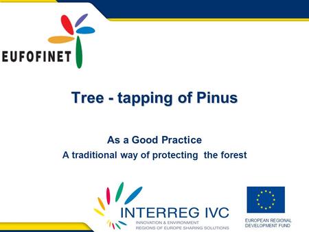 EUROPEAN REGIONAL DEVELOPMENT FUND Tree - tapping of Pinus As a Good Practice A traditional way of protecting the forest.