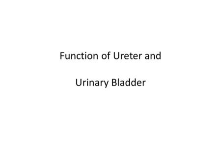 Function of Ureter and Urinary Bladder