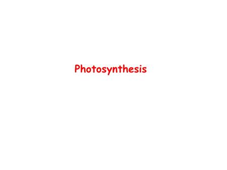 Photosynthesis. The Sun - Ultimate Energy 1.5 x 10 22 kJ falls on the earth each day 1% is absorbed by photosynthetic organisms and transformed into chemical.