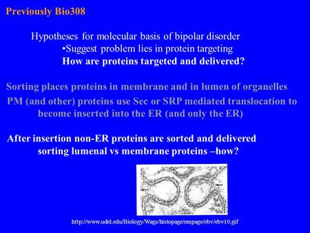 Previously Bio308 Hypotheses for molecular basis of bipolar disorder Suggest problem lies in protein targeting How are proteins targeted and delivered?