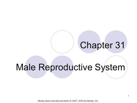 Mosby items and derived items © 2007, 2003 by Mosby, Inc. 1 Chapter 31 Male Reproductive System.