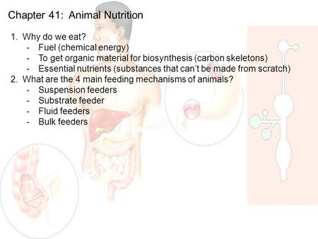 Chapter 41: Animal Nutrition 1.Why do we eat? -Fuel (chemical energy) -To get organic material for biosynthesis (carbon skeletons) -Essential nutrients.